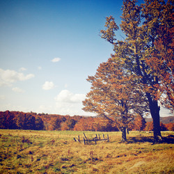 Similar image 7588053