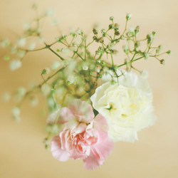 Similar image 7588134