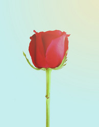 Similar image 7588145