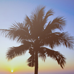 Similar image 7588169