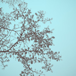 Similar image 7588215