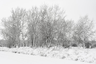 Similar image 7588221