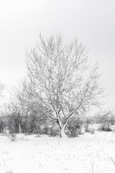 Similar image 7588230