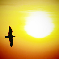 Similar image 7588264