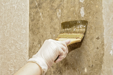 Similar image 7588366