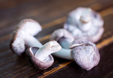 Similar image 7588420