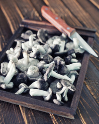 Similar image 7588422