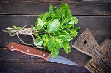 Similar image 7588710