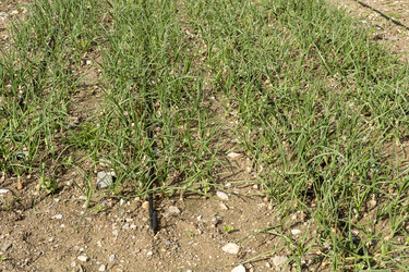 Similar image 7588774