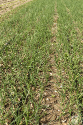 Similar image 7588775