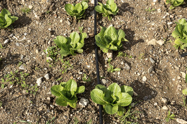 Similar image 7588778