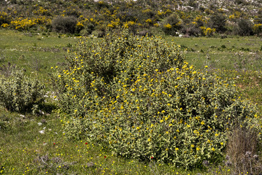 Similar image 7588996