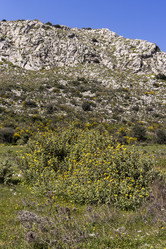 Similar image 7588998