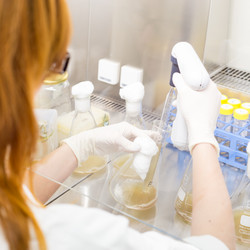 Similar image 7589210