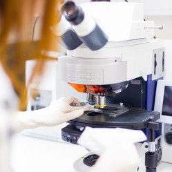 Similar image 7589211