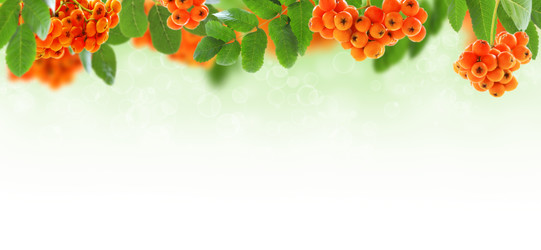 Similar image 7589220