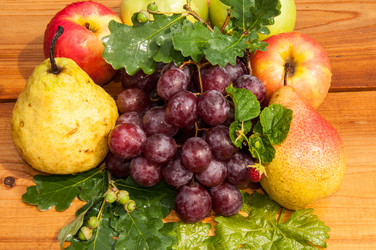 Similar image 7589232