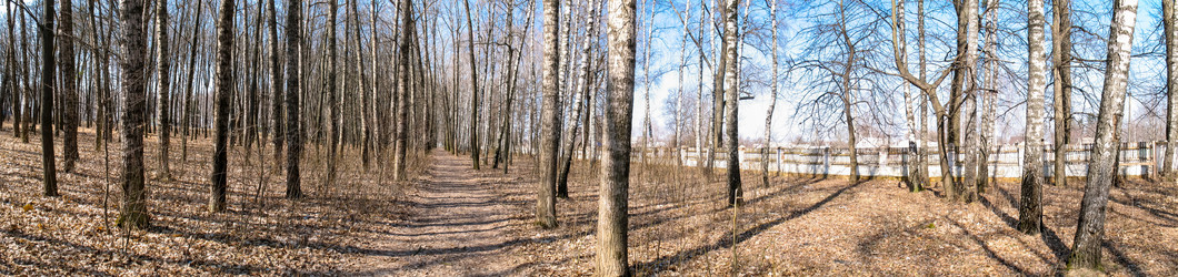 Similar image 7589263