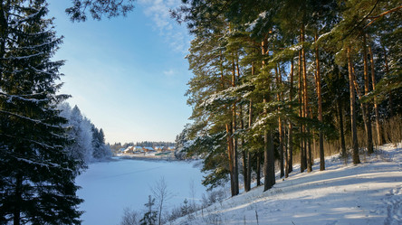 Similar image 7589277