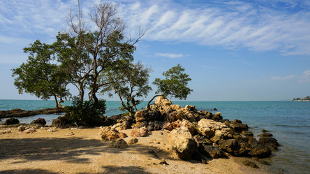 Similar image 7589278