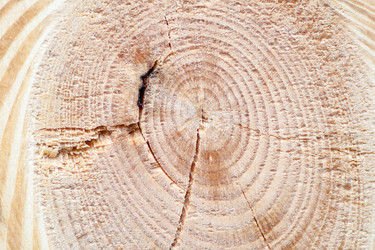 Similar image 7589279