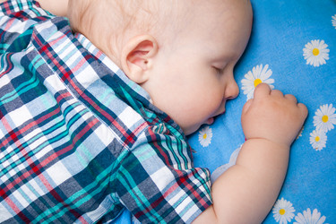 Similar image 7589282