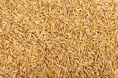 Similar image 7589284