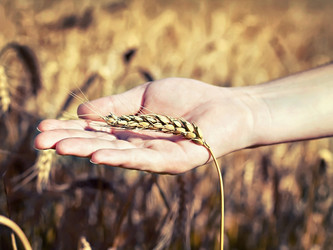 Similar image 7589294