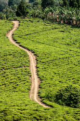 Similar image 7589359