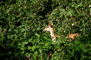 Similar image 7589360