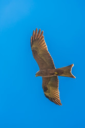 Similar image 7589365