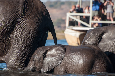 Similar image 7589389