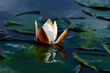 Similar image 7589415