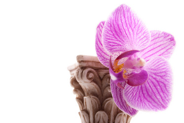 Similar image 7589710