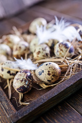 Similar image 7591057