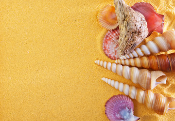 Similar image 7591112