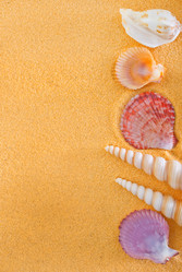 Similar image 7591113