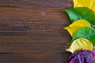 Similar image 7591647