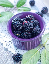 Similar image 7591755