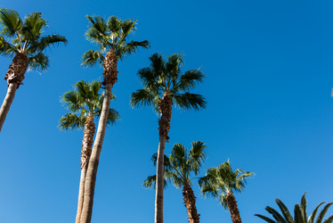 Similar image 7591883