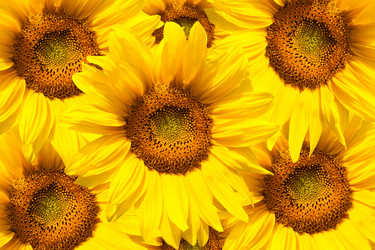 Similar image 7592175