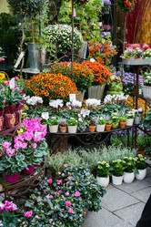 Similar image 7592446