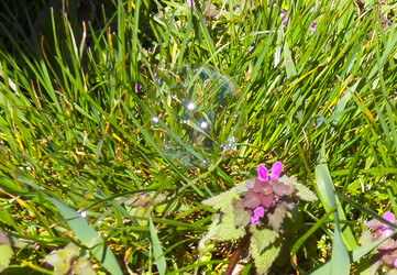 Similar image 7592475