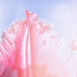 Similar image 7592485