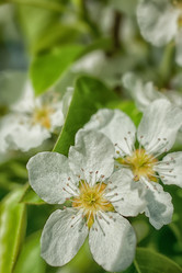 Similar image 7592494