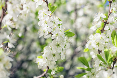 Similar image 7592495