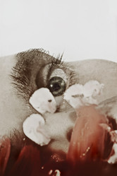 Similar image 7592510