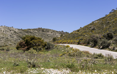 Similar image 7592546