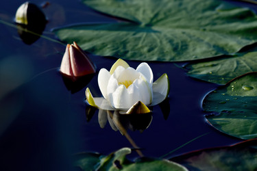 Similar image 7592550