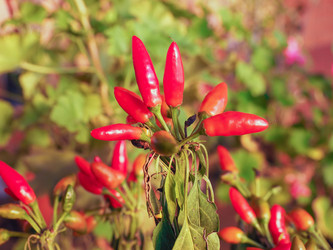 Similar image 7592694